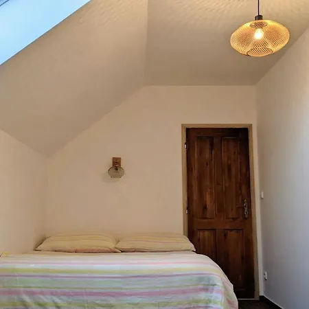 U Rybnika Strehom Guest house *