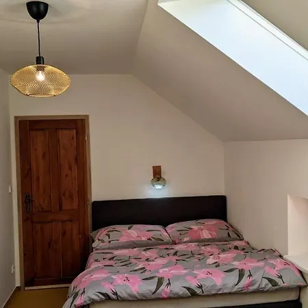 Guest house U Rybnika Strehom *