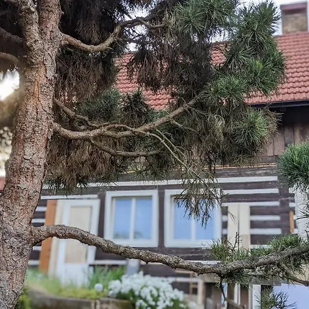 Pensjonat U Rybnika Strehom 3*